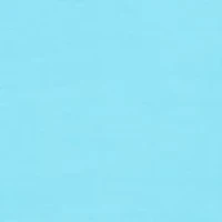 Petite Grommet Neck Solid Knit Top