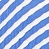 Petite Mitered Scallop Stripe Knit Tunic Top