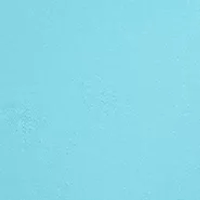 Petite Oasis Pull On Fringe Denim Capri Pants