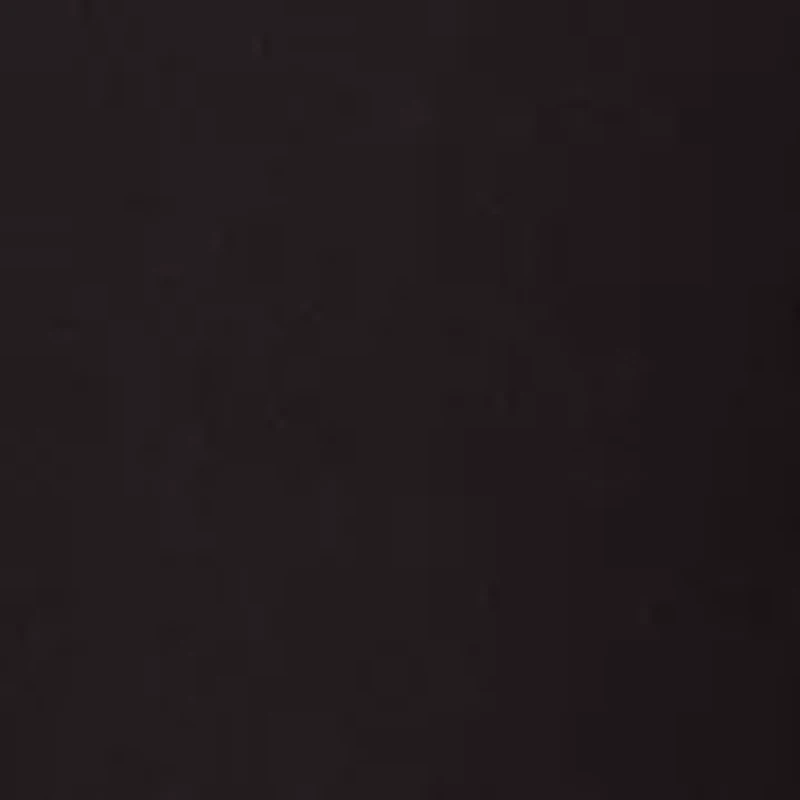 Petite Lace Trim Silky Tech Ankle Pants