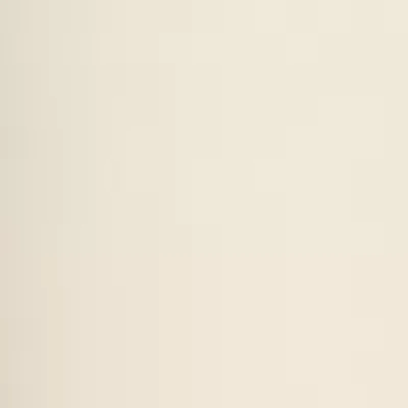 Women's Comfort Stretch Pull On Jeans