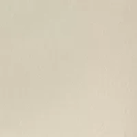 Petite Comfort Stretch Pull-On Jeans