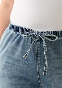 Plus Cozy Pull-On Jeans