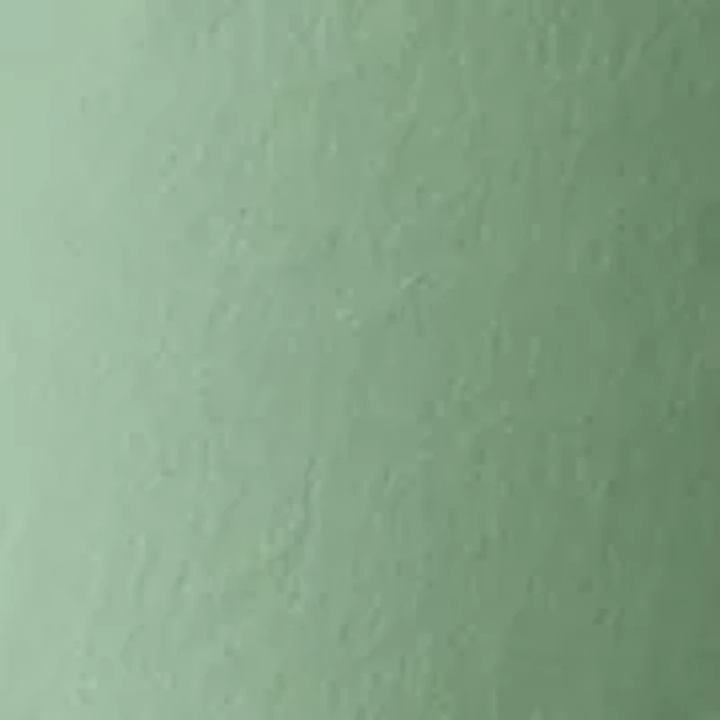 Women's Poplin Utility Pants