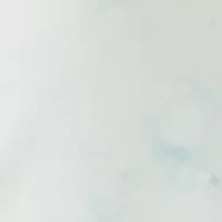 Women's Mini Waist Porkchop Pocket Pants