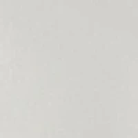 Women's High Rise Fray Longline Shorts