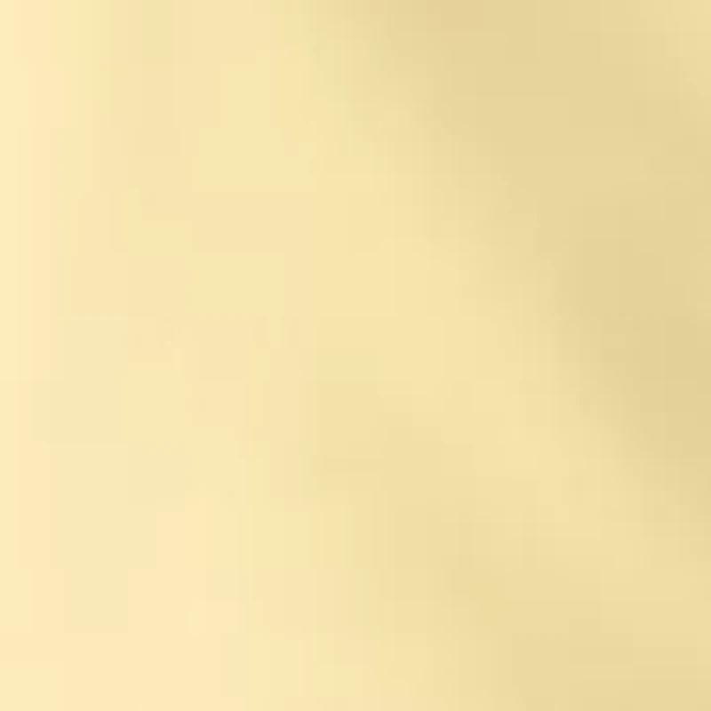 Women's Tie Front Knit Shorts