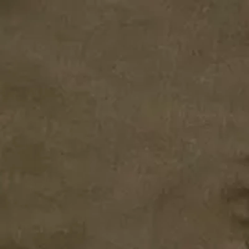 Women's Wander On Shorts