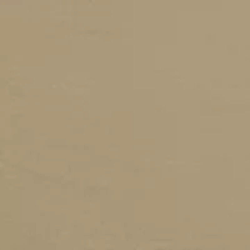 Plus Boyfriend Cruiser Pants