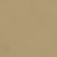 Women's Boyfriend Cruiser Wide Leg Pants