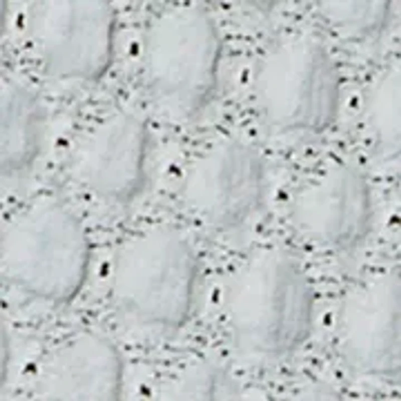 Women's Pucker Up Perfect Shirt