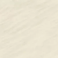 Plus Soft V-Neck Shirt