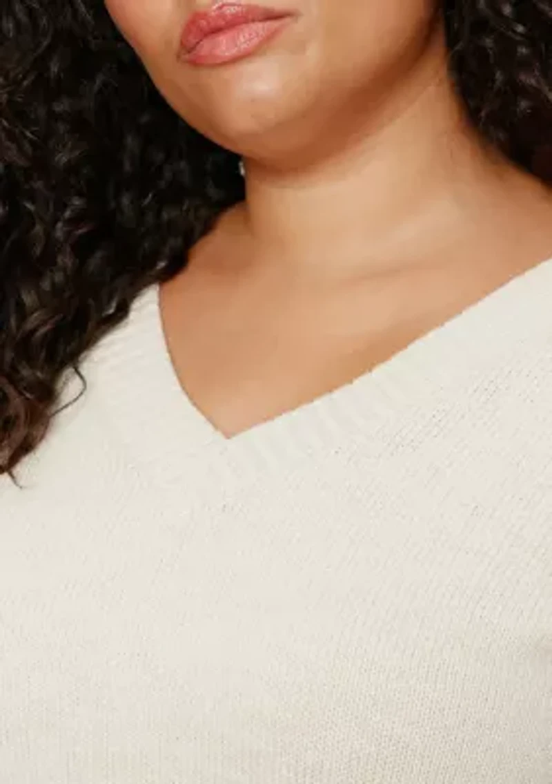 Plus Classic Striped  V-Neck Sweater