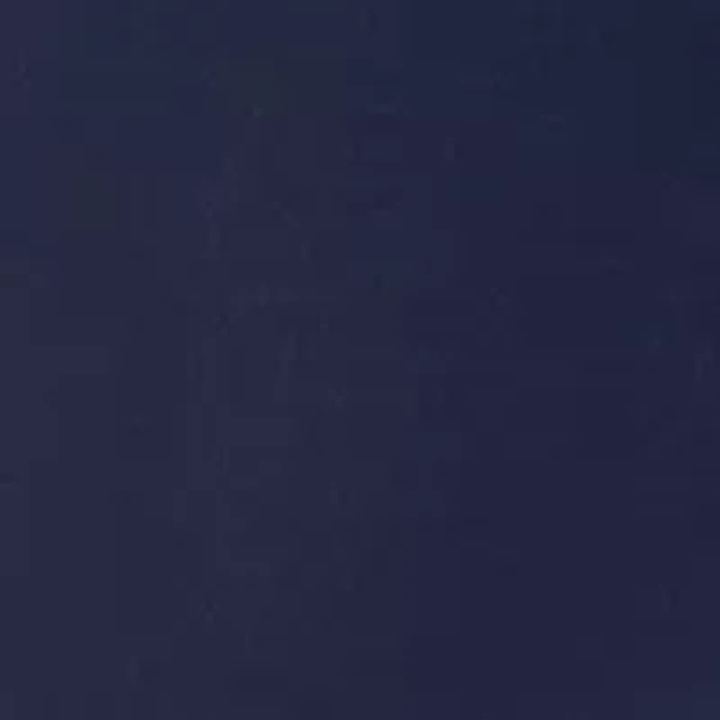 Women's Fleece Lined Leggings