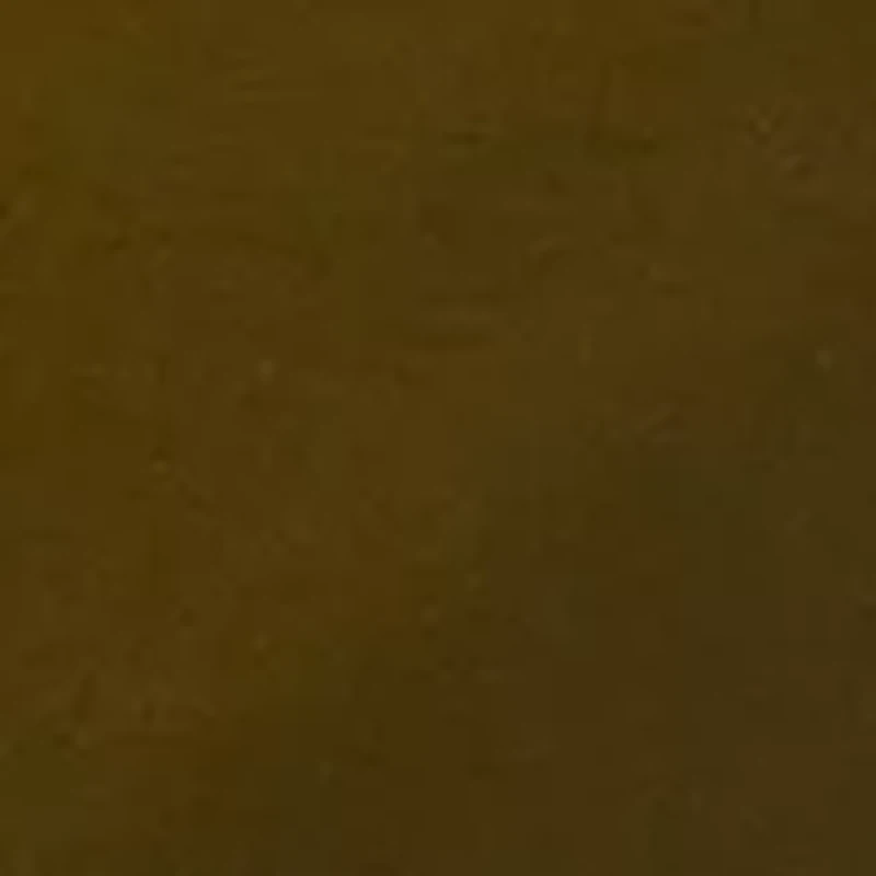 Women's Elastic Back Straight Leg Pants