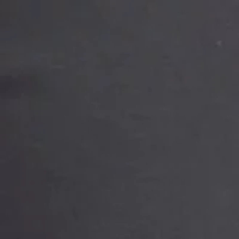 Petite High Rise Ponte Leggings