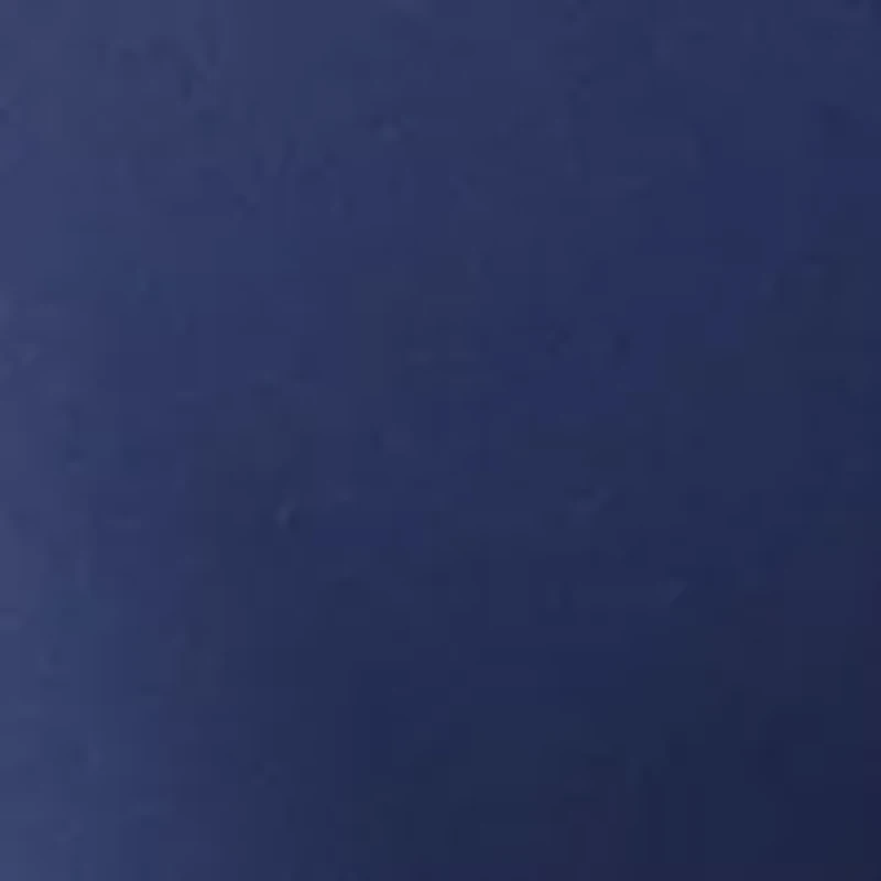 Petite High Rise Ponte Leggings