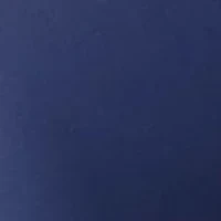 Petite High Rise Ponte Leggings