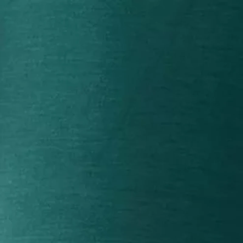 Petite Tie Waist Wide Leg Pants