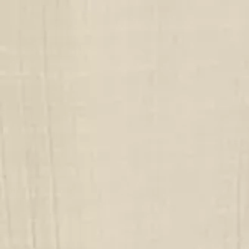 Petite Linen Like Smock Waist Wide Leg Pants