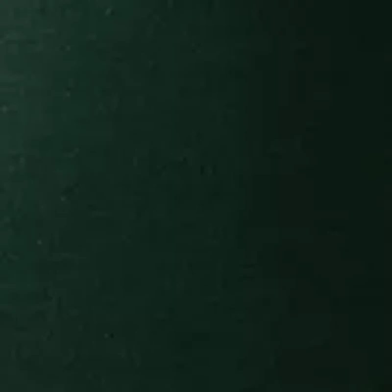 Women's Long Sleeve V-Neck Free Flow Top