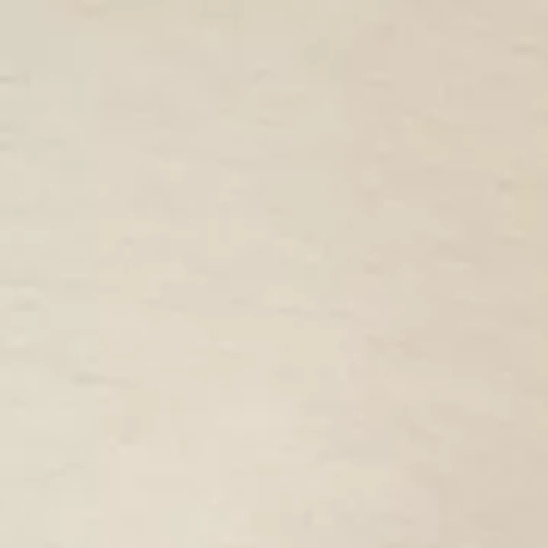 Women's Long Sleeve Oversized Free Flow Crew Neck Pullover