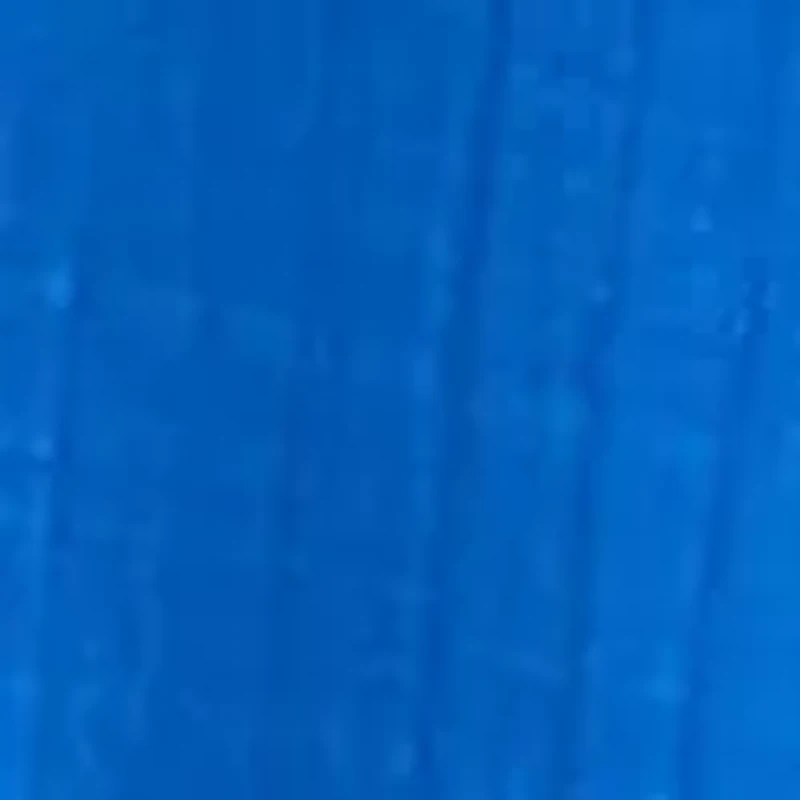 Women's Embroidered Flutter Sleeve Blouse