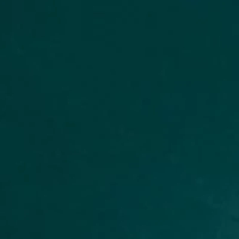 Petite Pullover Sweatshirt