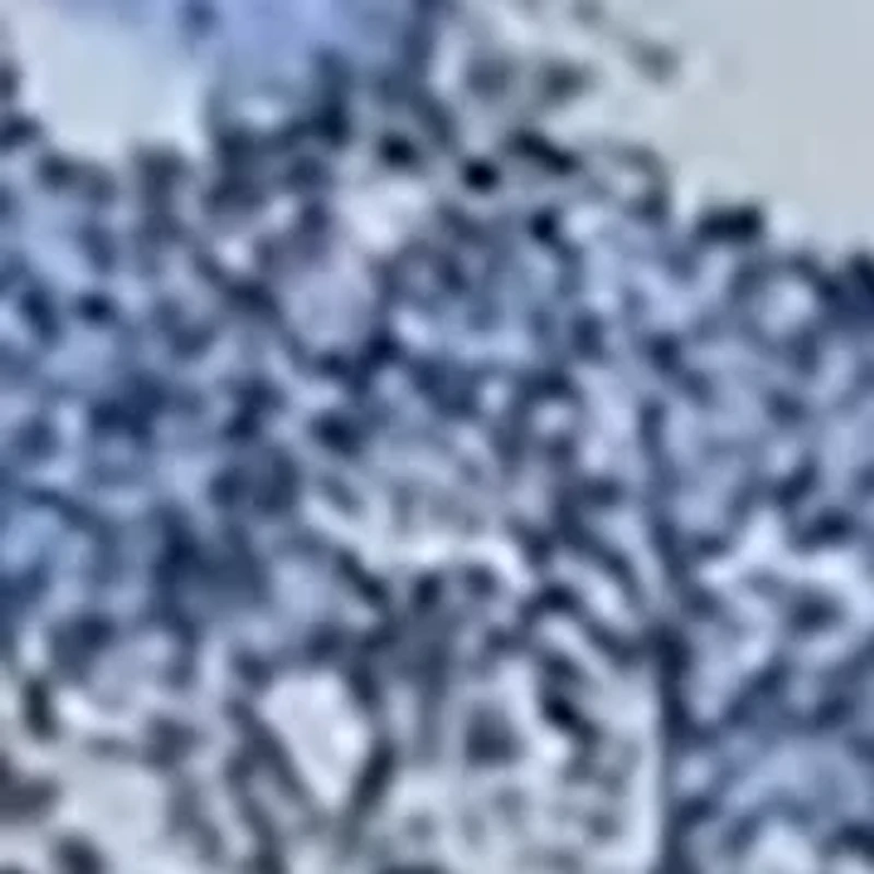 Printed Pouch 3-Pack 