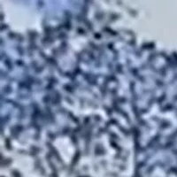 Printed Pouch 3-Pack 