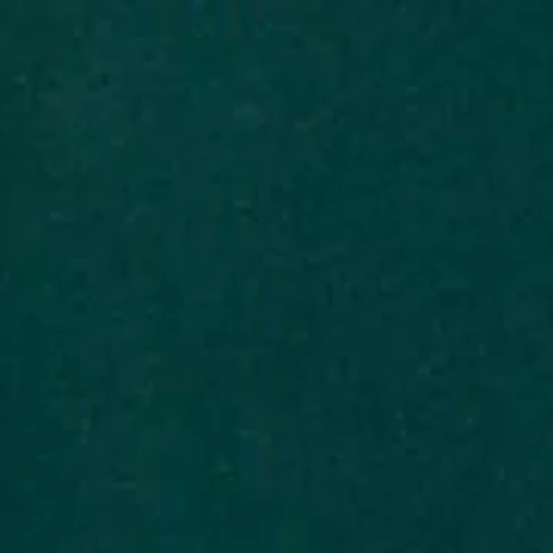 Women's Long Sleeve Mrs. Claus Whale Logo Graphic T-Shirt