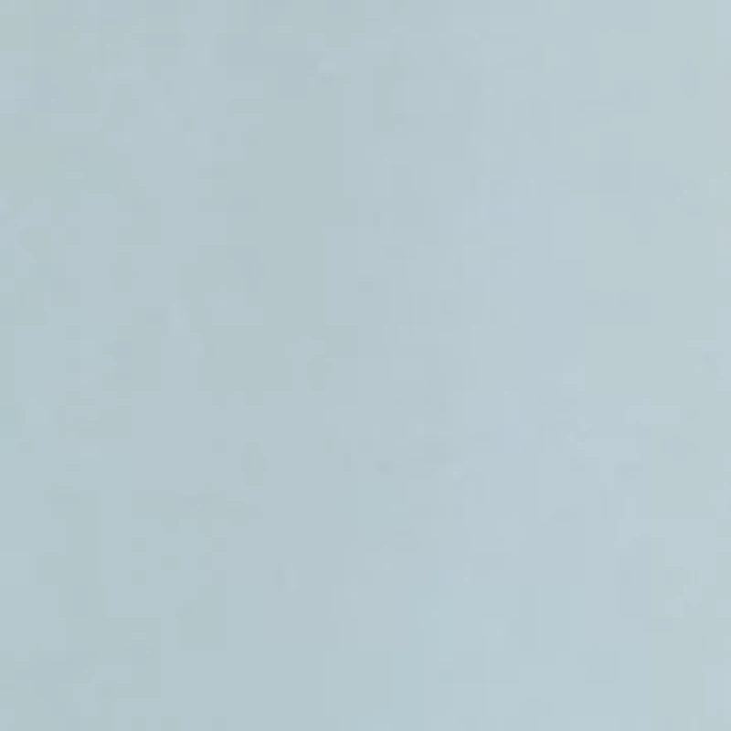 Women's Snowflake Icons Whale Fill Long Sleeve Pocket Shirt