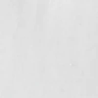 Party Plaid Whale Long Sleeve Pocket Shirt