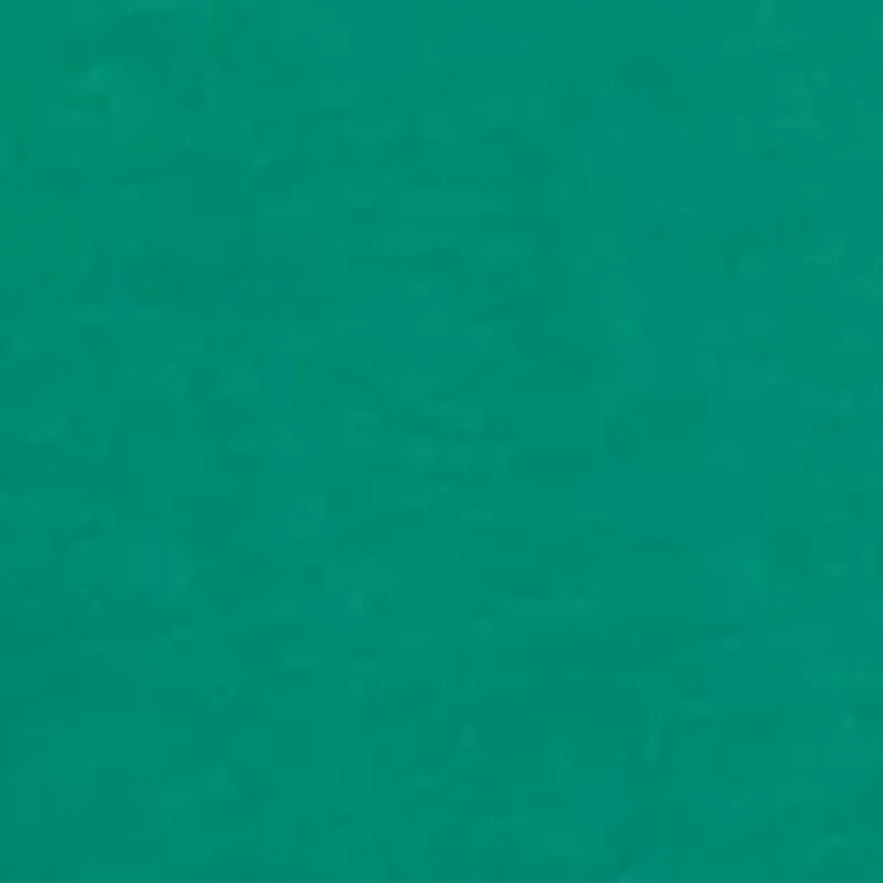 Women's Long Sleeve St. Patrick's Day Graphic Shirt