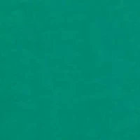 Women's Long Sleeve St. Patrick's Day Graphic Shirt