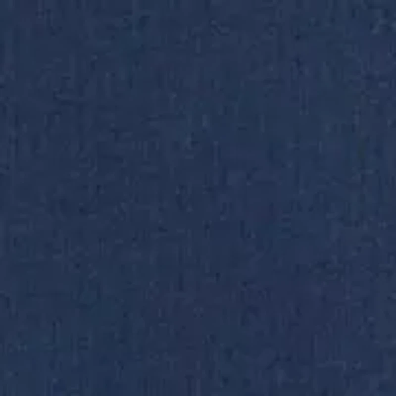 Women's Whale Graphic T-Shirt