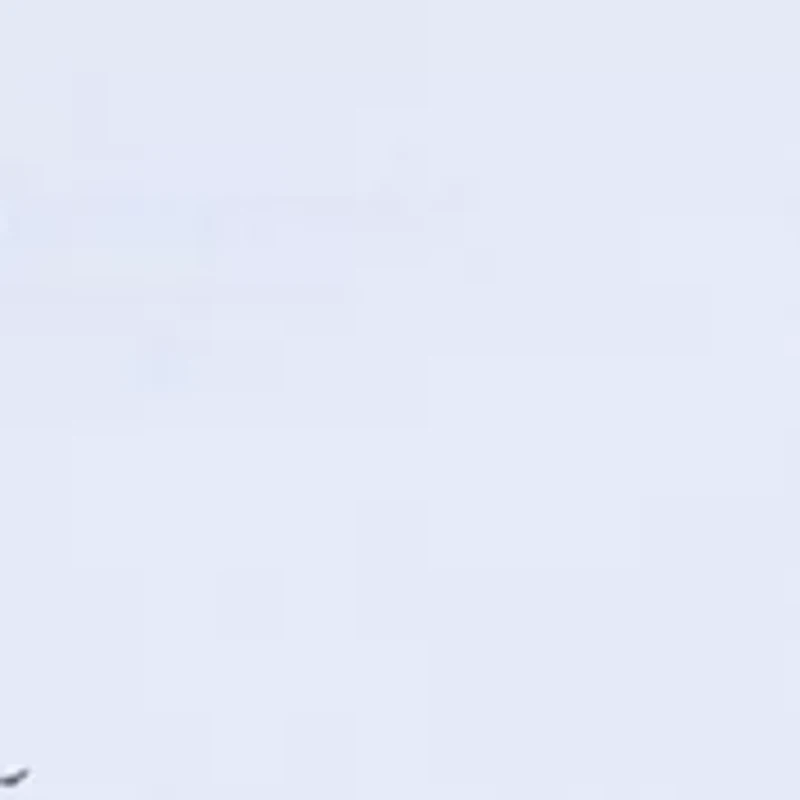 Women's Graphic Pocket T-Shirt