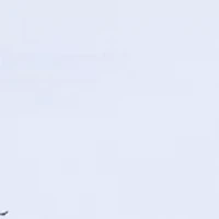 Women's Graphic Pocket T-Shirt