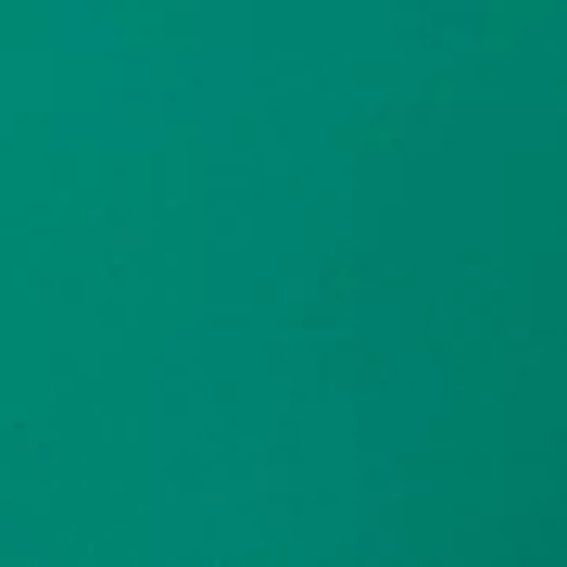 Twist Front Shirred Bandeukini Swim Top