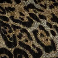 Women's 3/4 Sleeve Cowl Neck Hacci Top