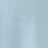 Petite Short Flutter Sleeve Woven Henley Top