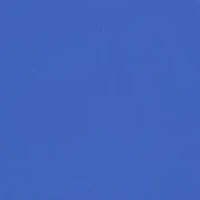 Plus Bravo Swim Skirt