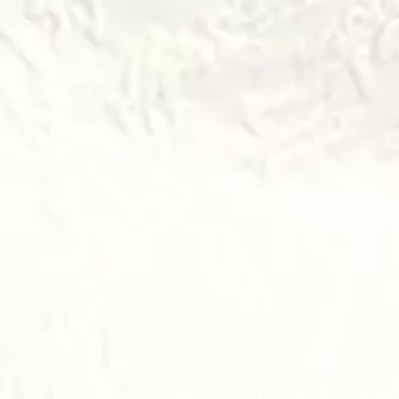 Women's Floral Seamless Top