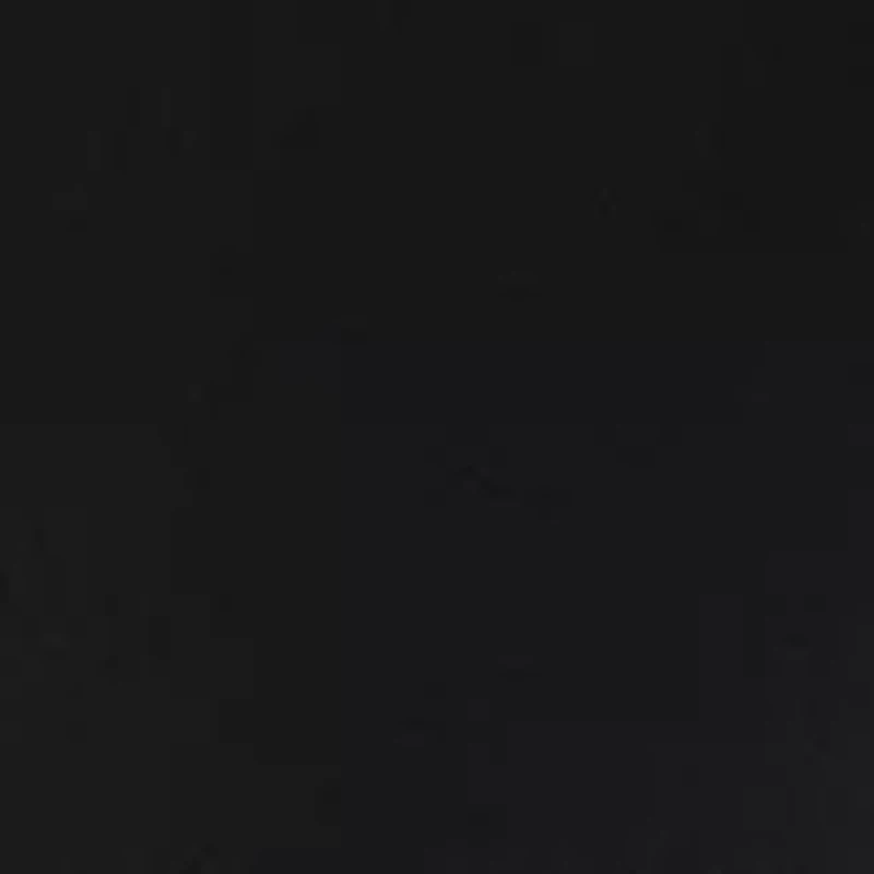 Women's Solid Leggings