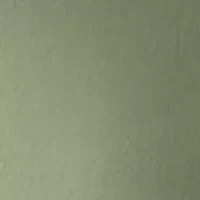 Women's Square Neck Bodysuit