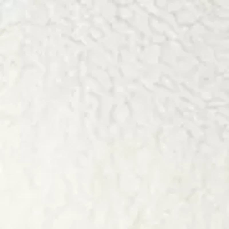 Plus Snap Front Sherpa Jacket