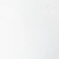 Women's Short Sleeve Peached Jersey T-Shirt