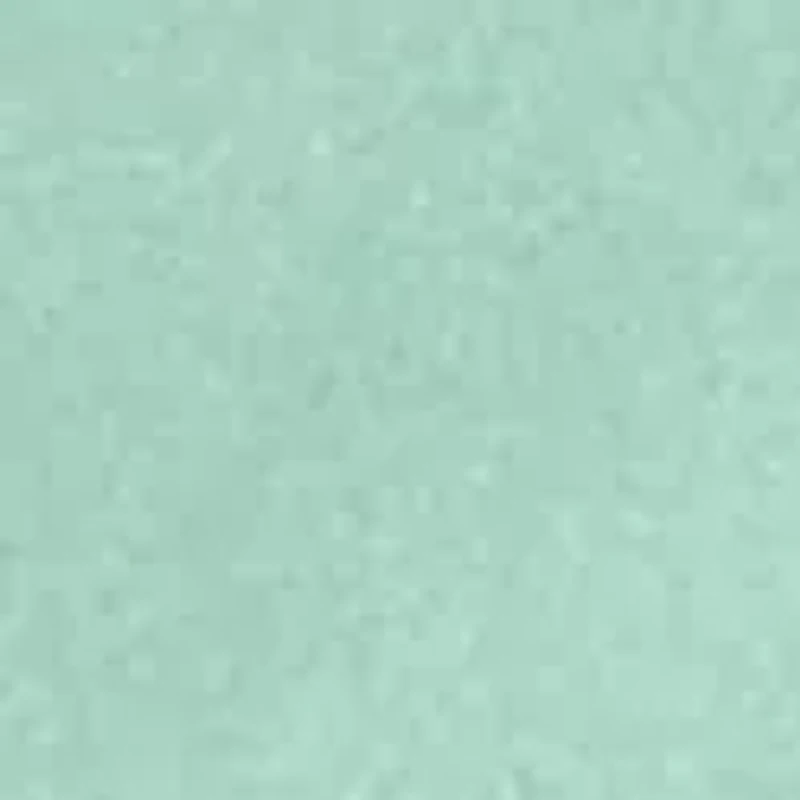 Women's Pullover Sweatshirt