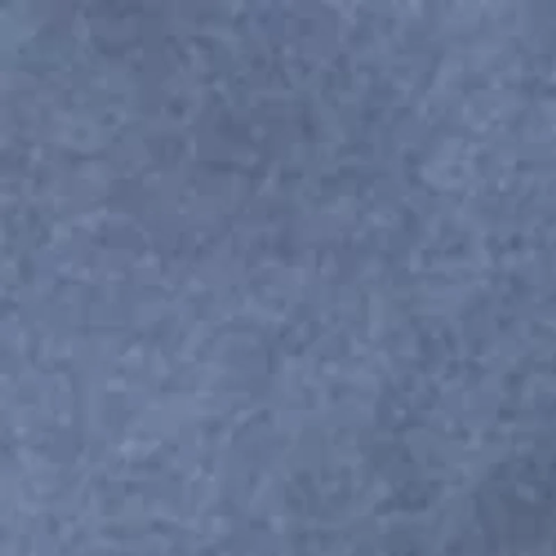 Women's Lightweight Fleece Shorts