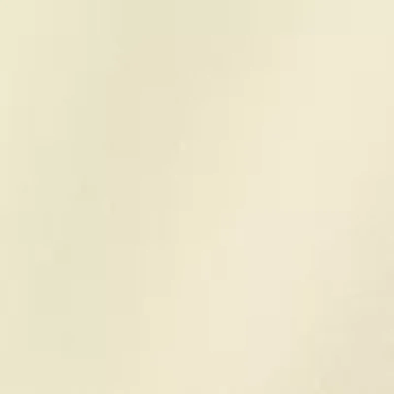 Women's Drop Shoulder Crew Sweatshirt with Appliqué